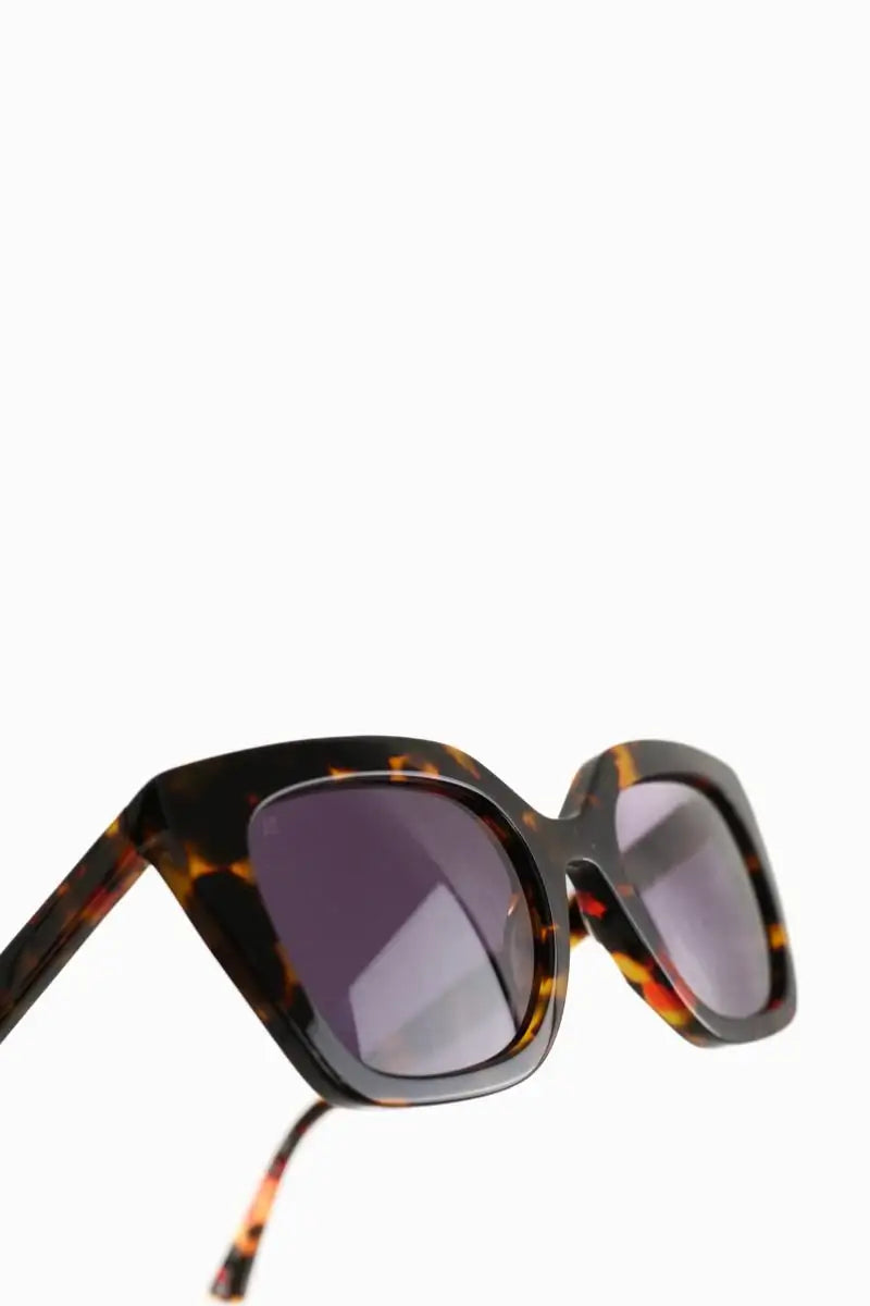 Lunettes de soleil Jimmy Fairly La Wind Marron en Plastique