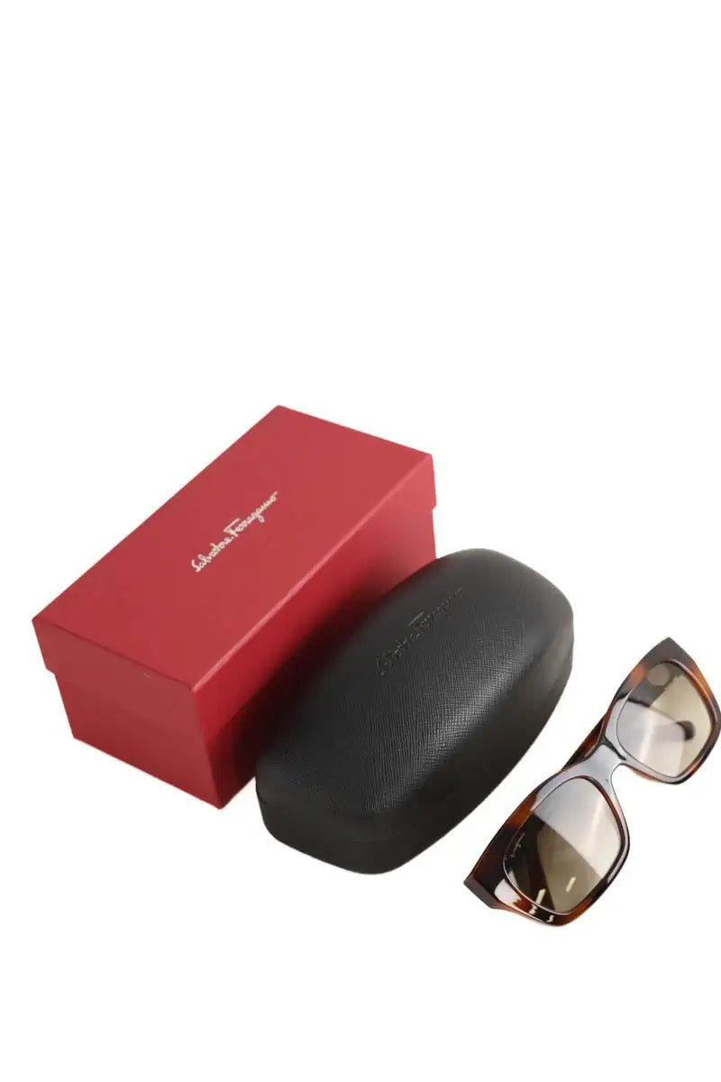 Lunettes de soleil Salvatore Ferragamo Marron en Plastique