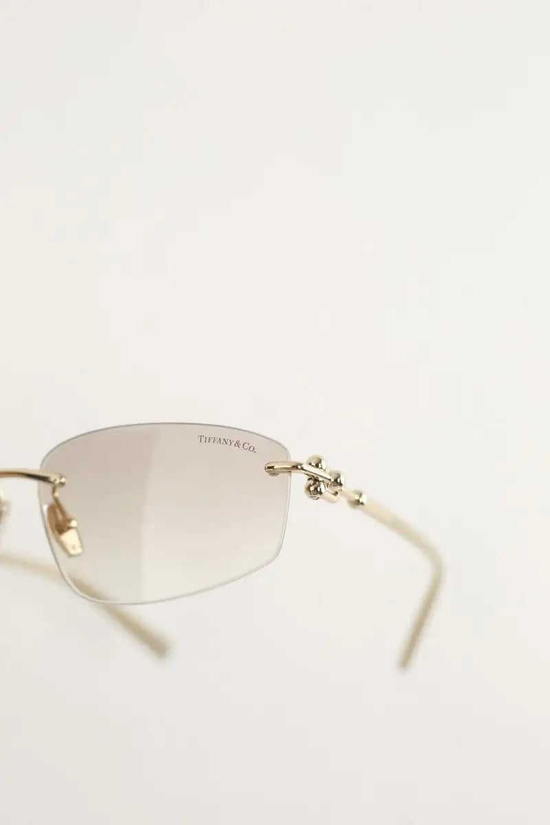 Lunettes de soleil Tiffany Marron en Plastique