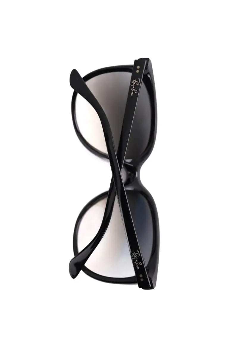 Lunettes rétro Ray-Ban Noir en Plastique
