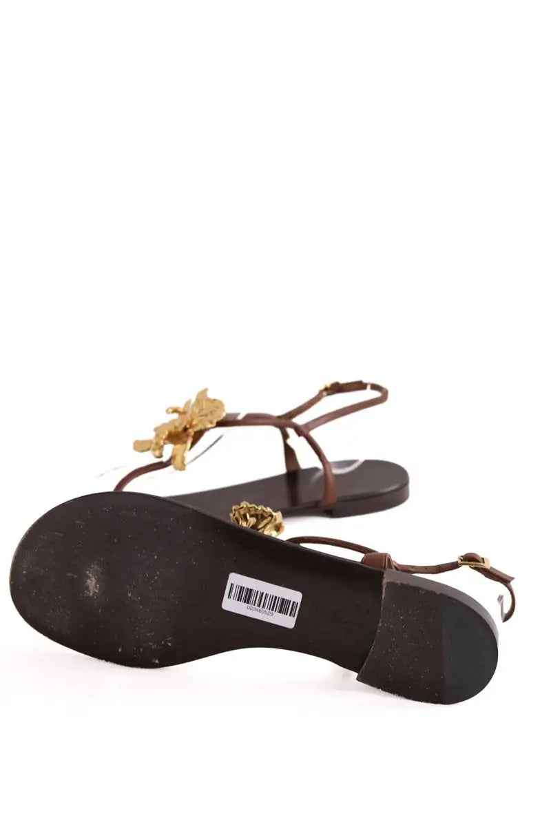 Sandales Giuseppe Zanotti Marron en Cuir