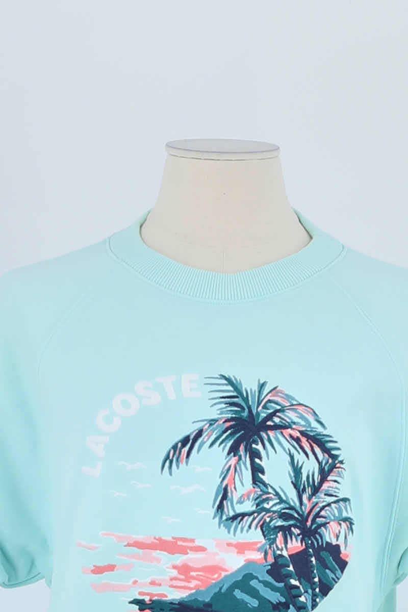 Pull Lacoste Bleu en Coton