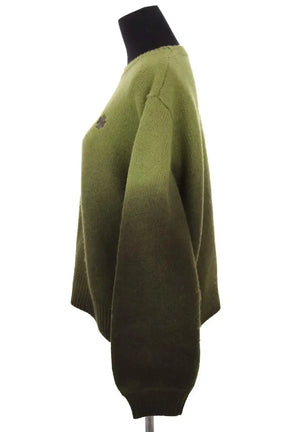 Pull Ladl Vert en Laine