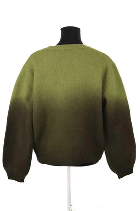 Pull Ladl Vert en Laine