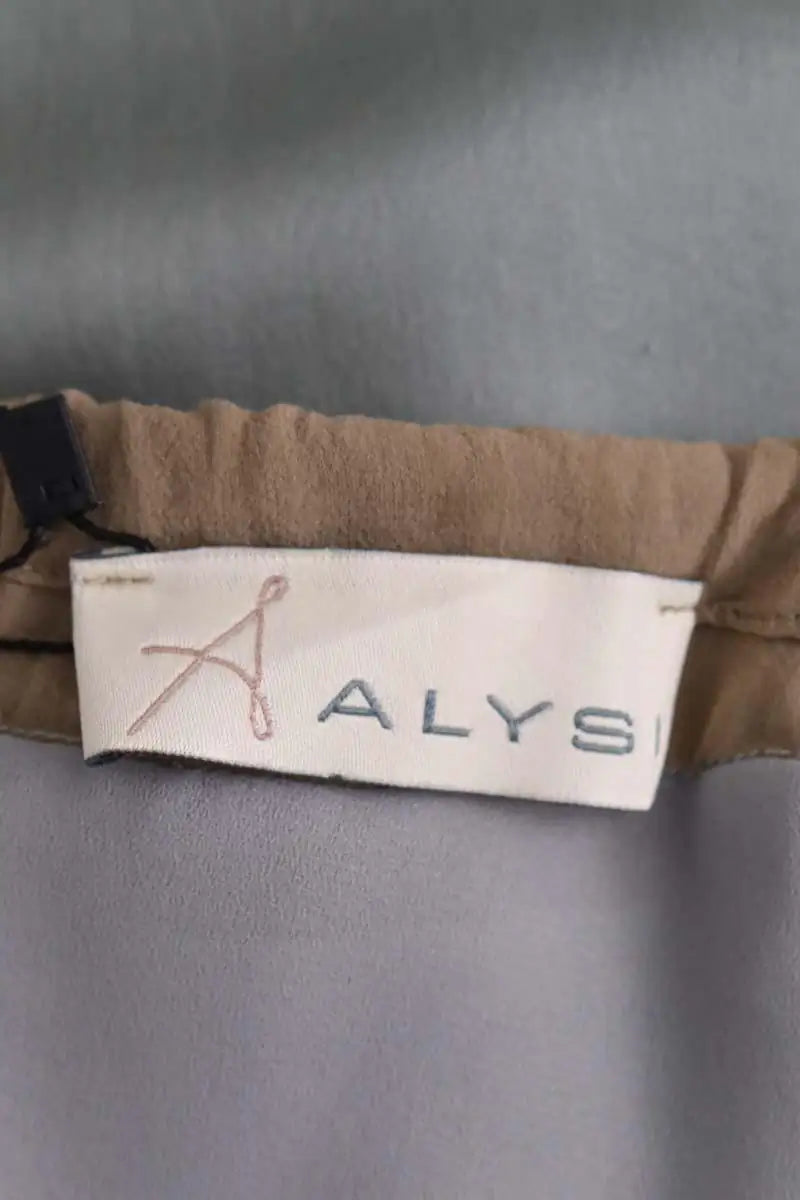 Robe Alysi Gris en Soie