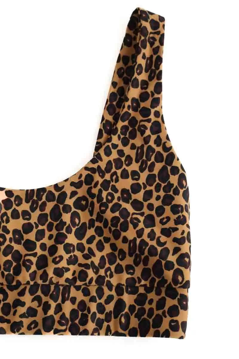 Soutien-gorge Balzac Marron en Synthétique