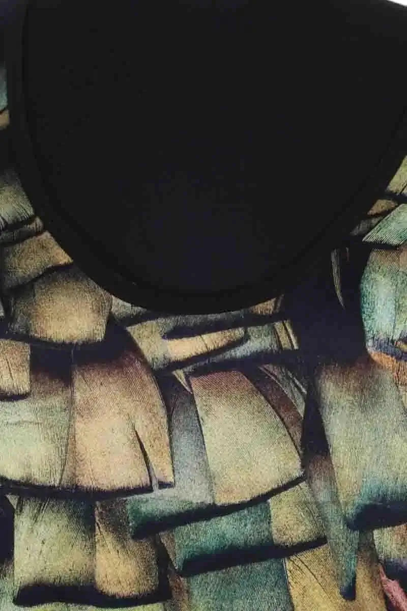 T-shirt Barbara Bui Noir en Synthétique