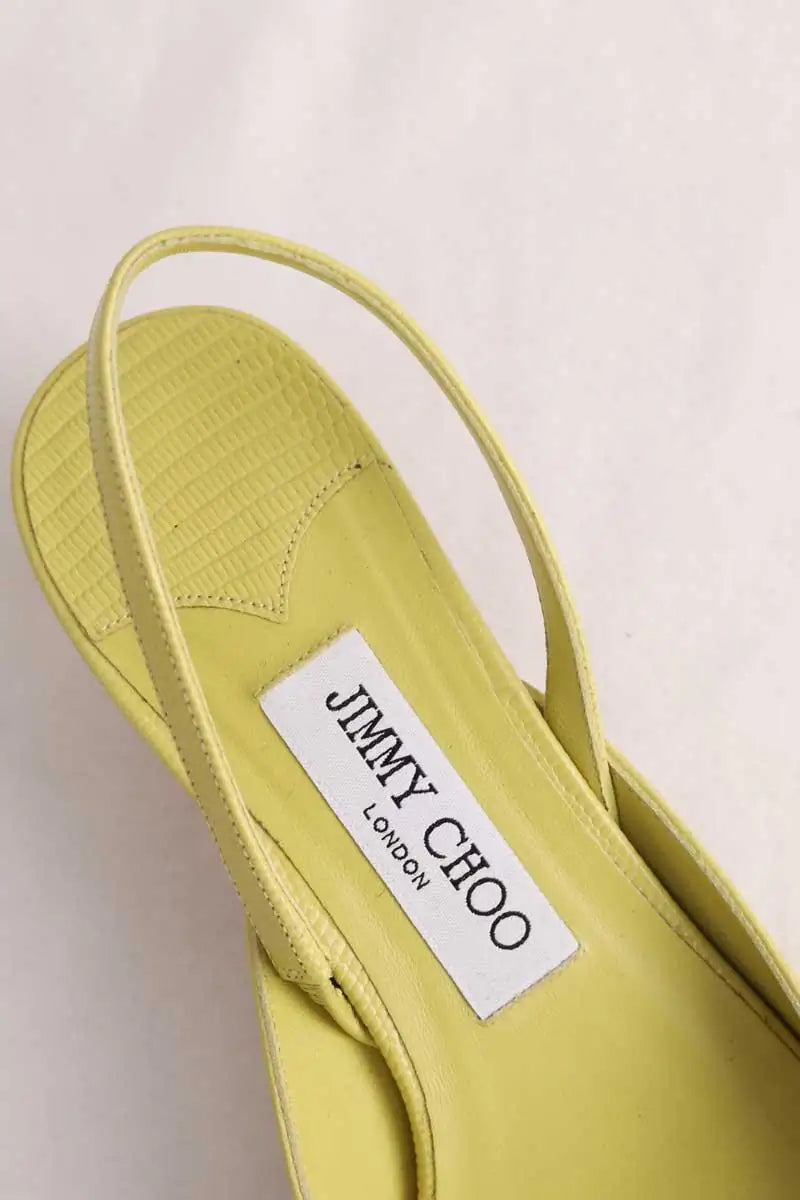 Talons Jimmy Choo Vert en Cuirs exotiques