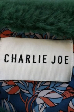 Veste Charlie Joe Vert en Polyester