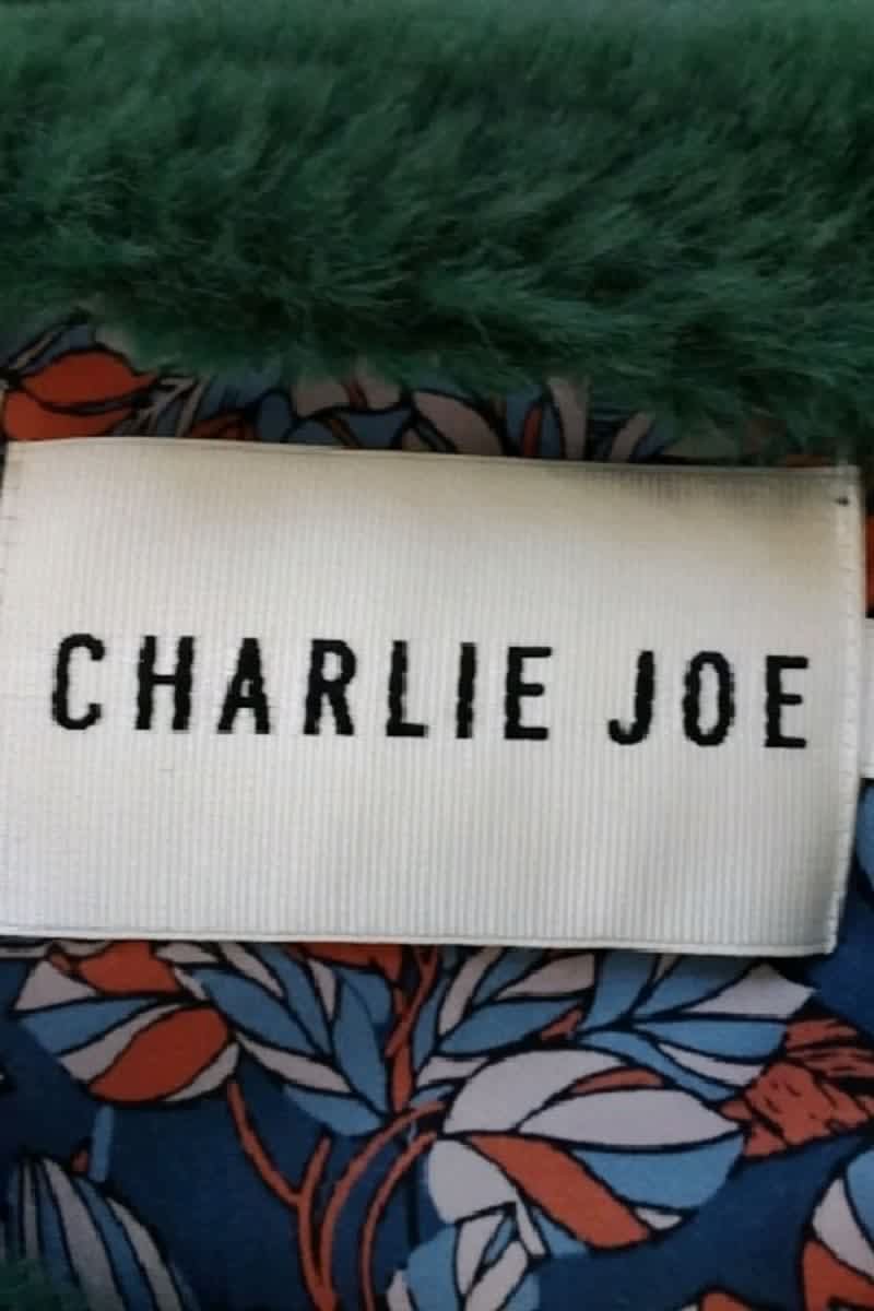 Veste Charlie Joe Vert en Polyester