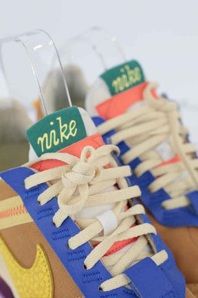 Baskets Nike  Multicolore