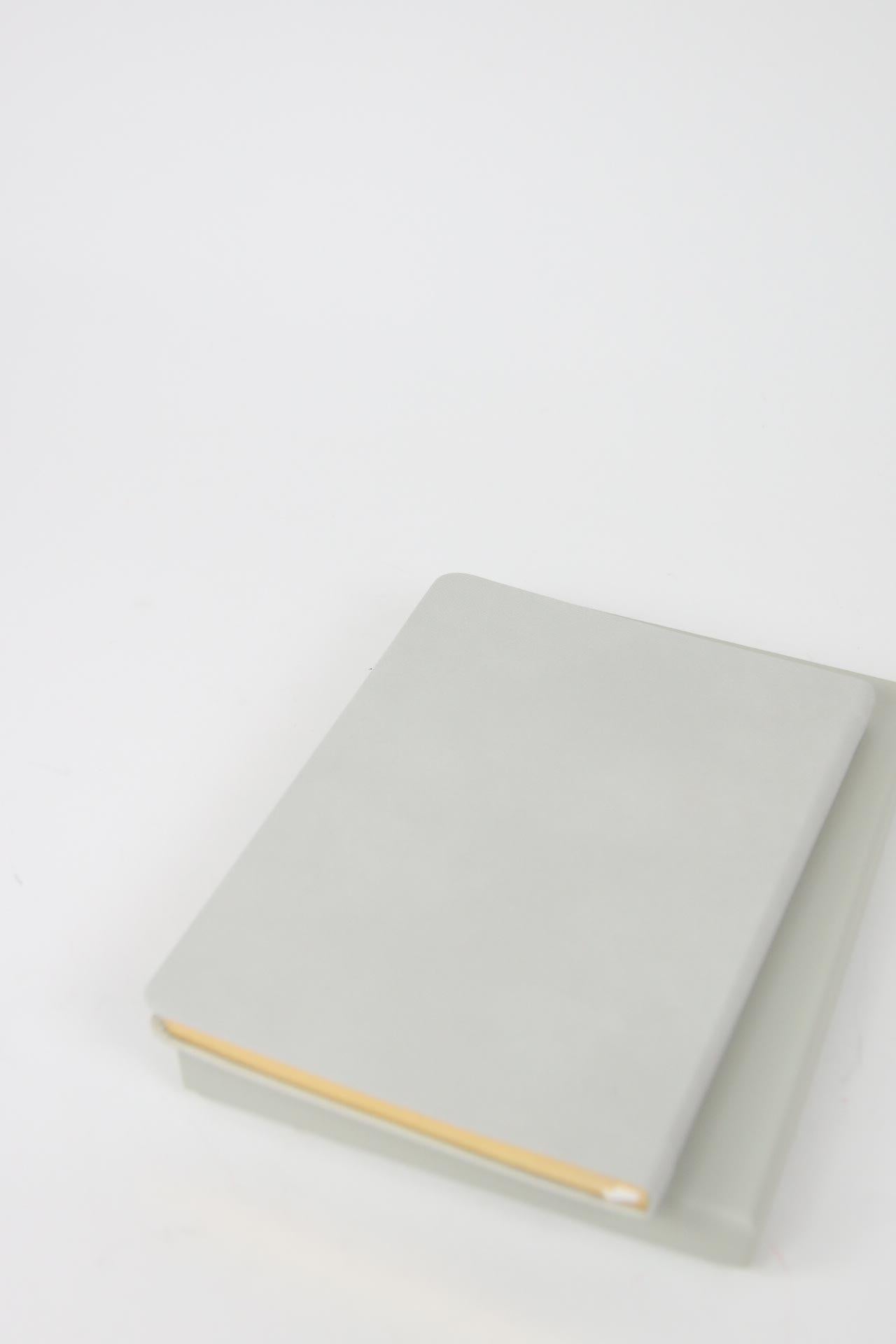 Carnet Manolo Blahnik  Gris