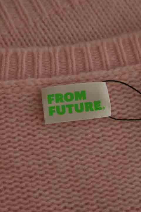 Pull-over From Future  Rose