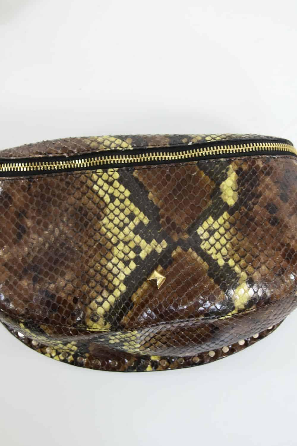  Herbert Frère Sœur  Marron