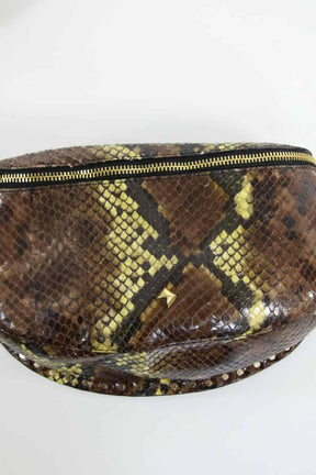  Herbert Frère Sœur  Marron