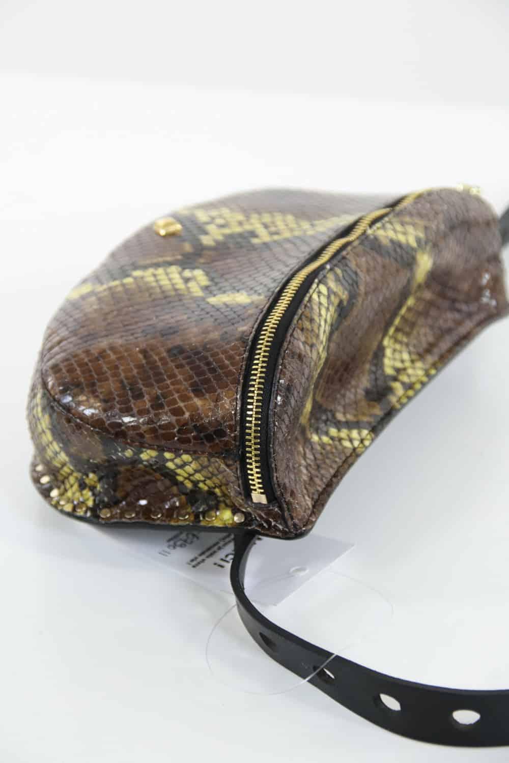  Herbert Frère Sœur  Marron