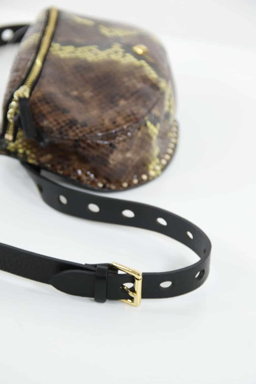  Herbert Frère Sœur  Marron