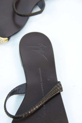  Giuseppe Zanotti  Marron