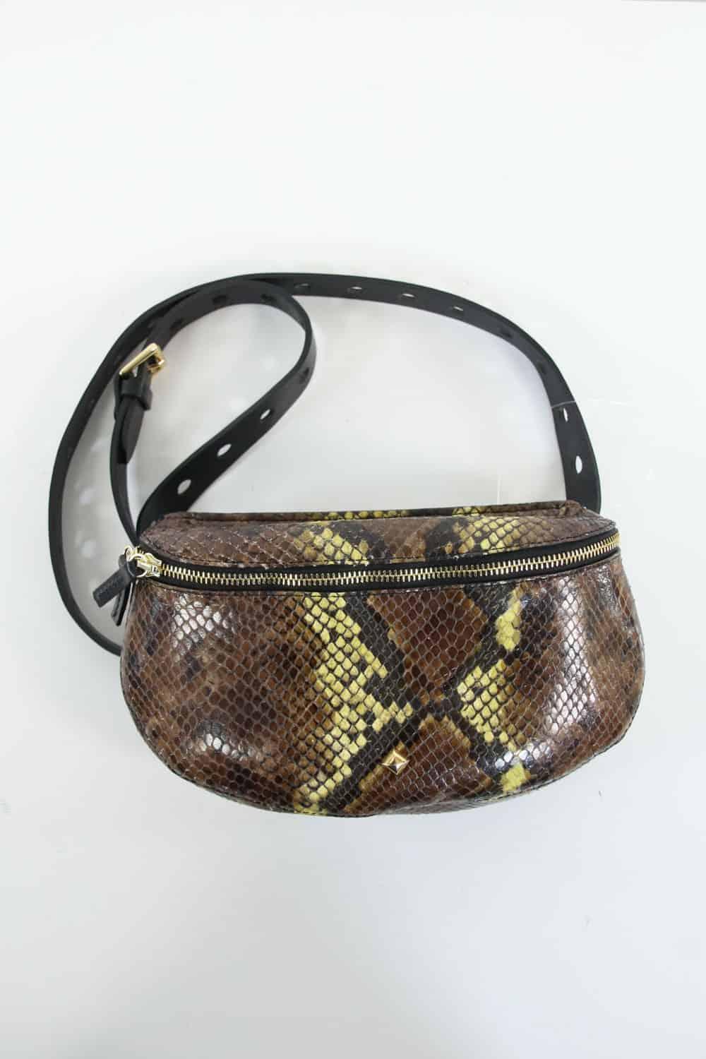  Herbert Frère Sœur  Marron