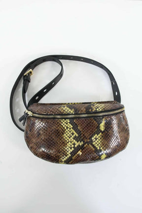  Herbert Frère Sœur  Marron