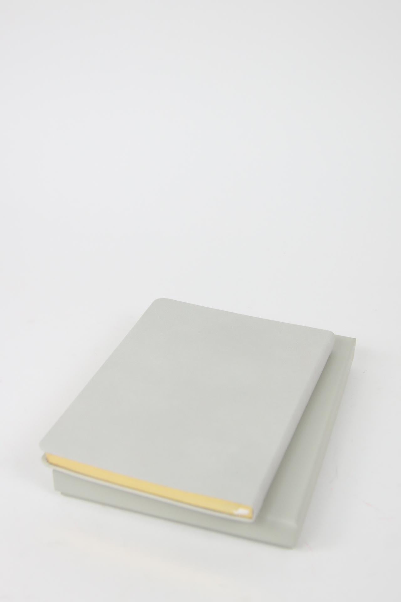 Carnet Manolo Blahnik  Gris