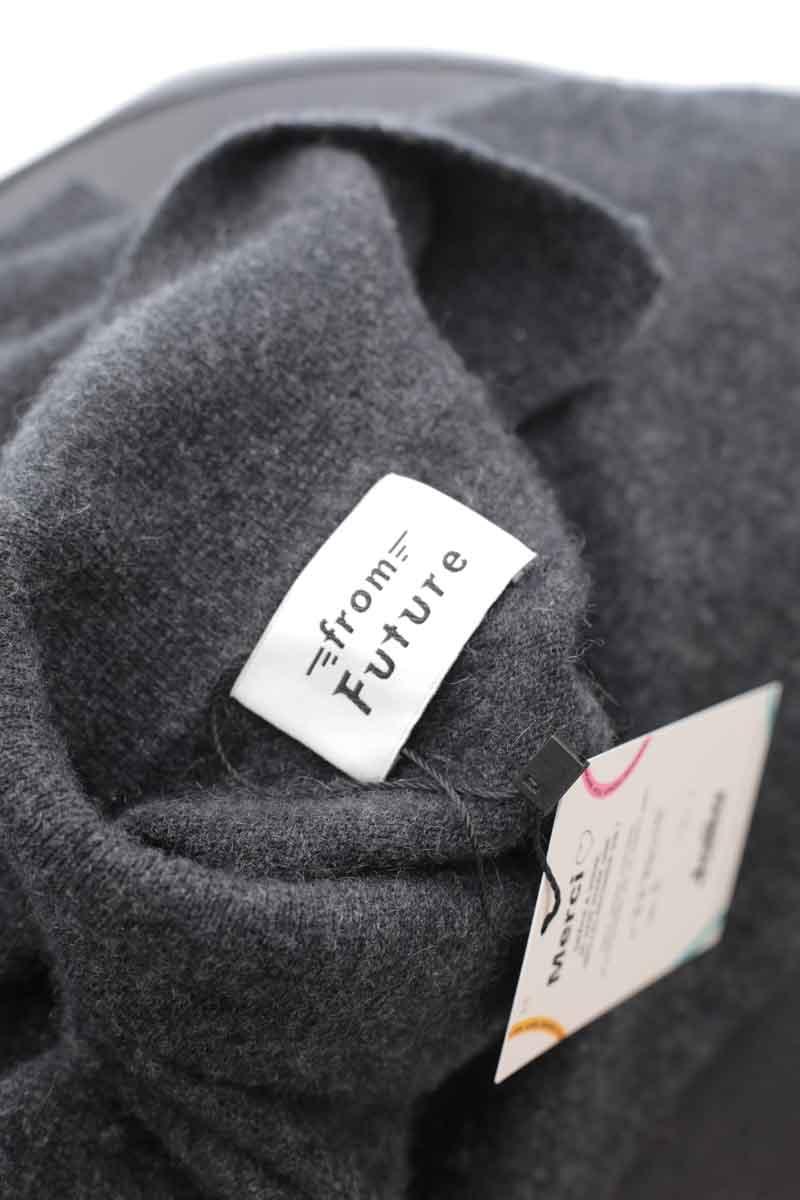 Pulls From Future  Gris