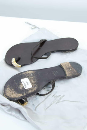  Giuseppe Zanotti  Marron