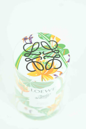 Paula Ibiza 50ml Loewe  Multicolore
